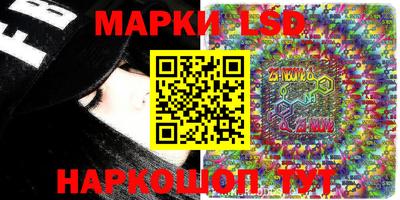 индика Гагарин