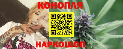 гашик Гатчина