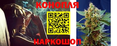 индика Гагарин