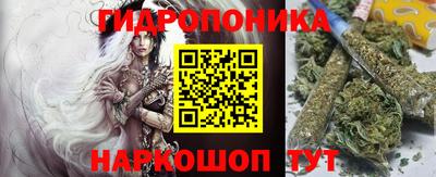 гашик Гатчина