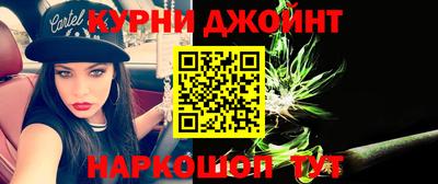 гашик Гатчина