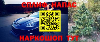 индика Гагарин