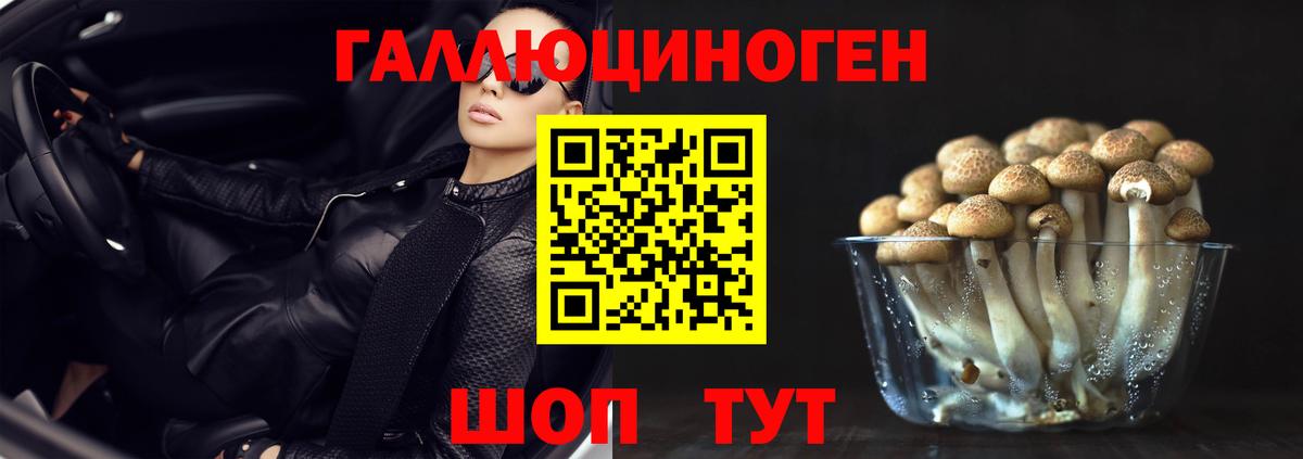 Псилоцибиновые грибы мухоморы Горно-Алтайск